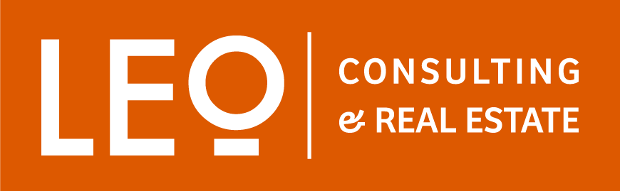 LEO CONSULTING Logo